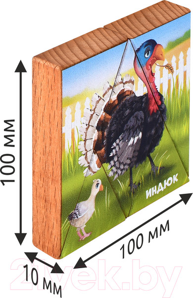 Изображение товара Развивающая игра Mega Toys Магнитная головоломка Индюк / 15783