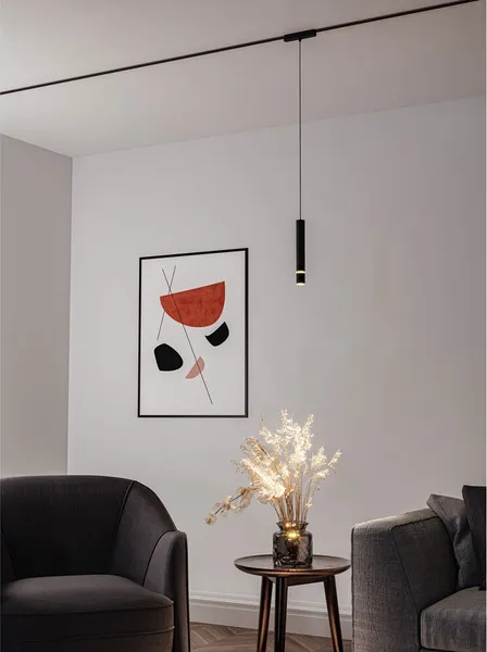 Изображение товара Трековый светильник Arte Lamp Rapid A6159PL-1BK