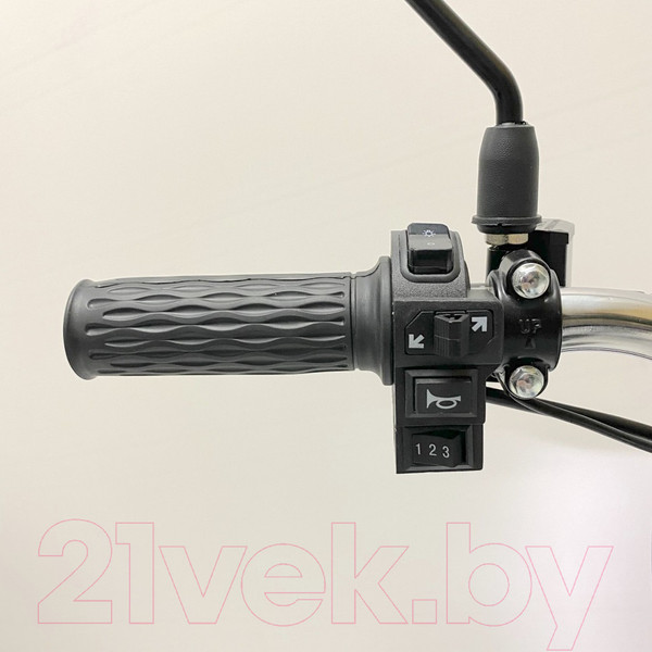 Изображение товара Электровелосипед Green Camel Транк 18 V8 Pro R18 250W 60V 10Ah