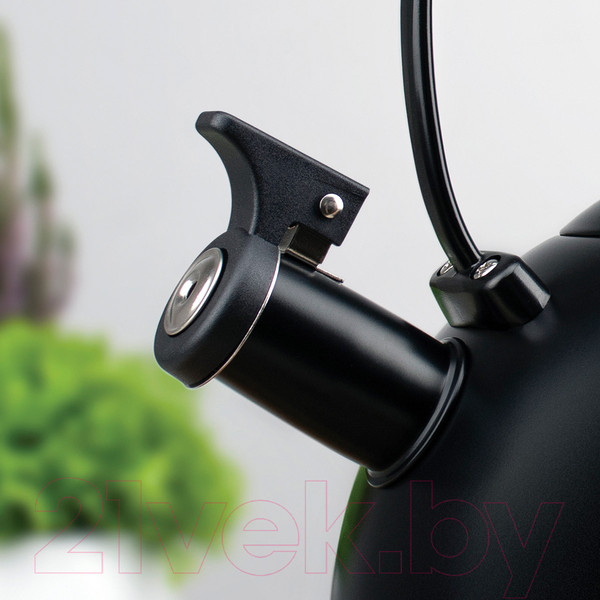 Изображение товара Чайник со свистком TalleR TR-11379