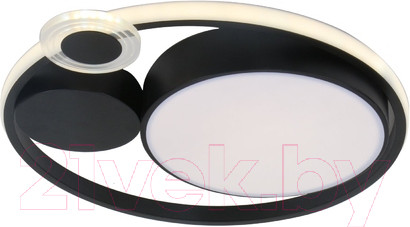 Изображение товара Потолочный светильник Arte Lamp Stockholm A2690PL-1BK