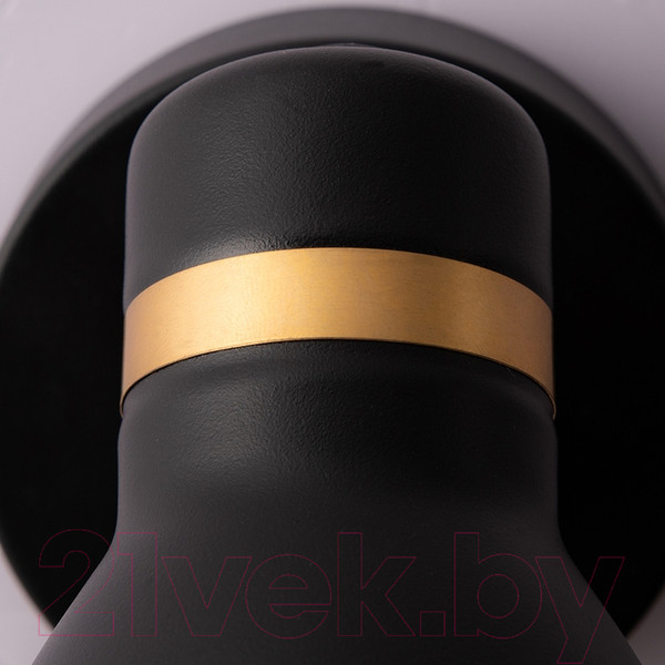 Изображение товара Бра Arte Lamp Fafnir A5047AP-1BK