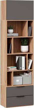 Изображение товара Стеллаж ТриЯ Порто ТД-393.07.20 Исп.2 (яблоня беллуно/графит софт)