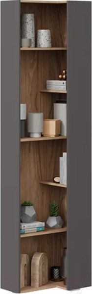 Изображение товара Стеллаж ТриЯ Порто ТД-393.07.26 Торцевой (яблоня беллуно/графит софт)