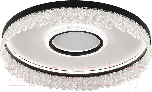 Изображение товара Потолочный светильник F-Promo 4187-2C