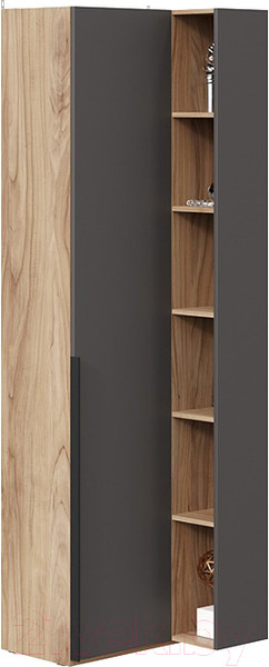 Изображение товара Шкаф ТриЯ Порто СМ-393.21.024 угловой с глухой дверью (яблоня беллуно/графит софт)