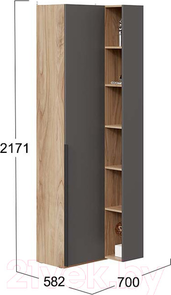 Изображение товара Шкаф ТриЯ Порто СМ-393.21.024 угловой с глухой дверью (яблоня беллуно/графит софт)