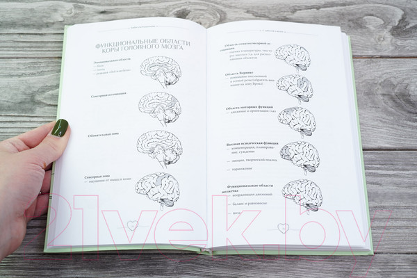 Изображение товара Книга АСТ С заботой о мозге / 9785171500986 (Кушалиева Б.С.)