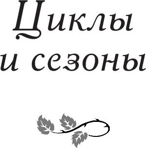 Изображение товара Книга Попурри Времена жизни, мягкая обложка (Рон Джим)