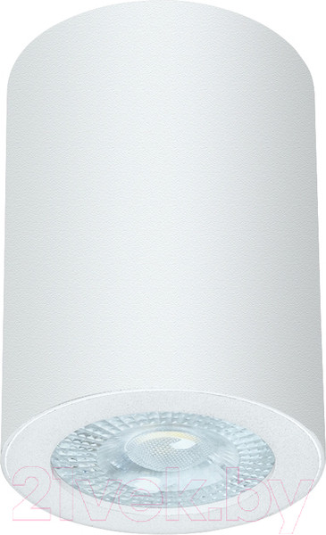 Изображение товара Точечный светильник Arte Lamp Tino A1468PL-1WH