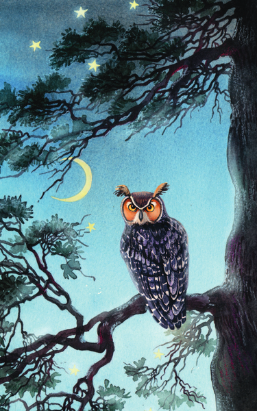 Изображение товара Книга АСТ Фомка — белый медвежонок, твердая обложка (Чаплина Вера)