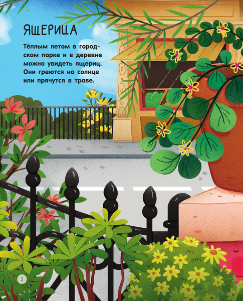 Изображение товара Энциклопедия АСТ Городские животные, твердая обложка (Цоппи Лоретта)