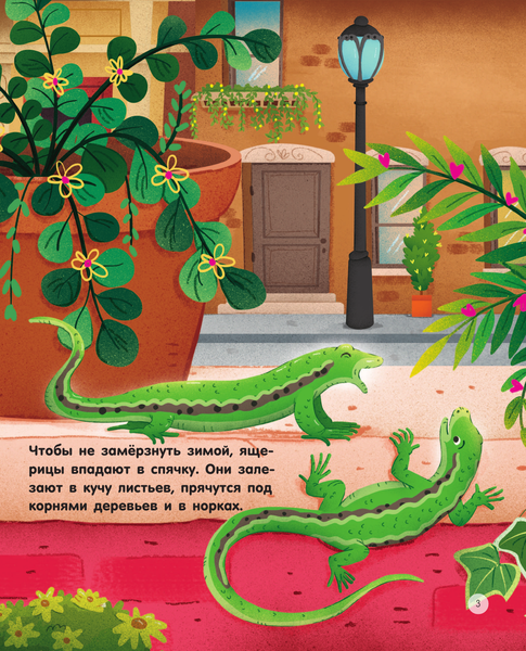 Изображение товара Энциклопедия АСТ Городские животные, твердая обложка (Цоппи Лоретта)