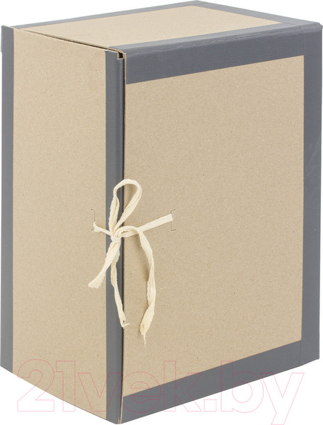 Изображение товара Коробка архивная Staff 112160