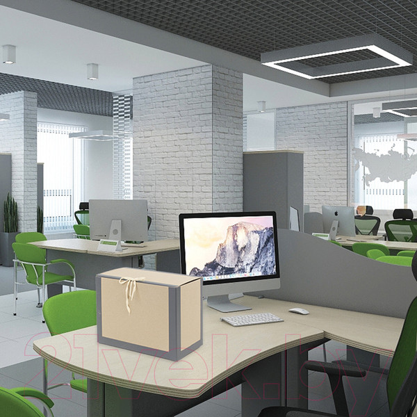 Изображение товара Коробка архивная Staff 112160