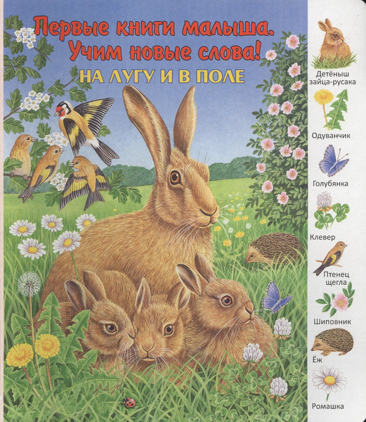 Изображение товара Развивающая книга Улыбка На лугу и в поле / 9785889445296