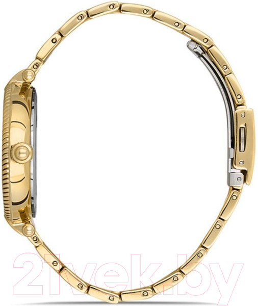 Изображение товара Часы наручные женские Daniel Klein 13213-5