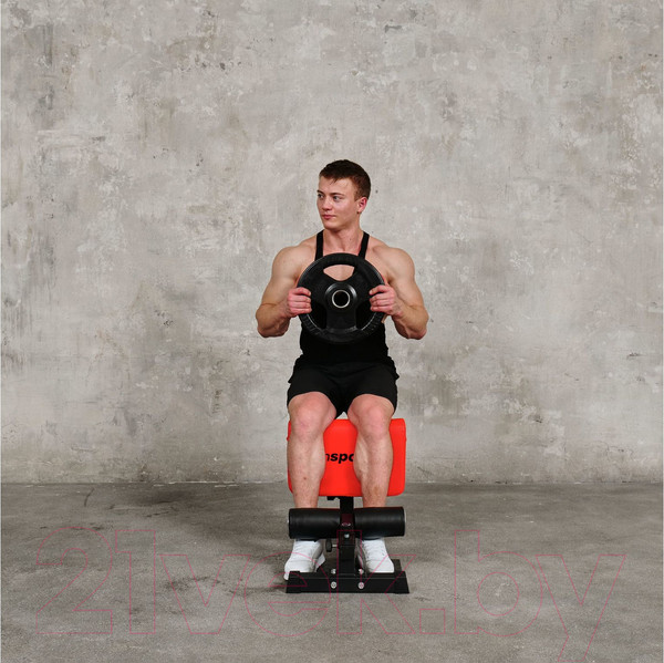 Изображение товара Силовой тренажер DFC Sissy Squat / IN21715