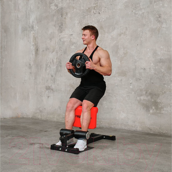 Изображение товара Силовой тренажер DFC Sissy Squat / IN21715