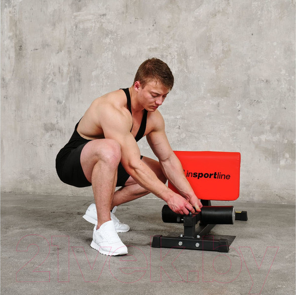 Изображение товара Силовой тренажер DFC Sissy Squat / IN21715