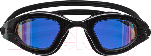 Изображение товара Очки для плавания 25DEGREES 25D23005 (Rocky Black)