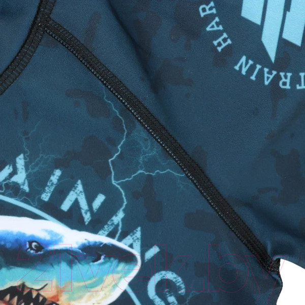 Изображение товара Лонгслив для единоборств BoyBo Shark детский для ММА (2XL)
