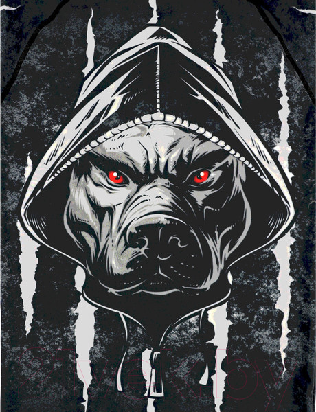 Изображение товара Лонгслив для единоборств RuscoSport Cerberus детский для ММА (XL)