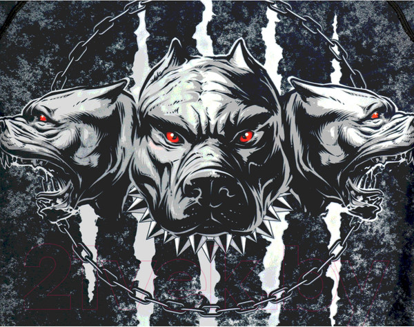 Изображение товара Лонгслив для единоборств RuscoSport Cerberus детский для ММА (XL)