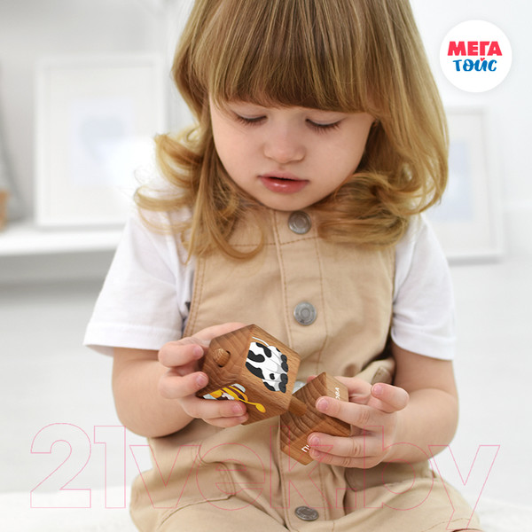 Изображение товара Развивающий игровой набор Mega Toys Кубики на оси Домашние животные / 15204