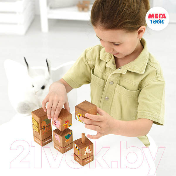 Изображение товара Развивающий игровой набор Mega Toys Кубики на оси Домашние животные / 15204