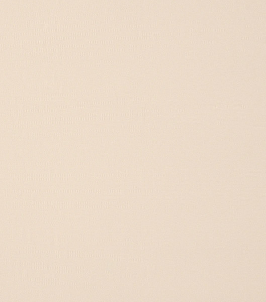 Изображение товара Рулонная штора LEGRAND Блэкаут Болид 140x175 / 58127472 (крем)