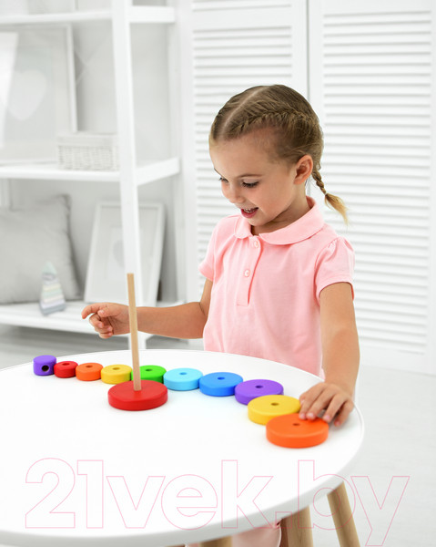 Изображение товара Развивающий игровой набор Mega Toys Пирамидка Круг / 60106