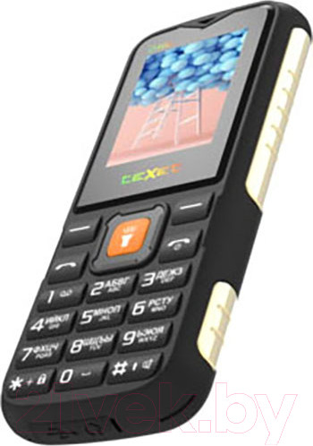 Изображение товара Мобильный телефон Texet TM-D400 (черный)