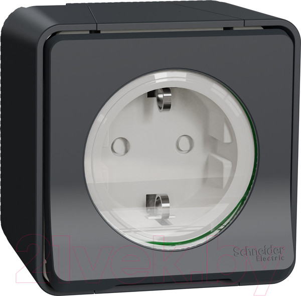 Изображение товара Розетка Schneider Electric Mureva Styl MUR36034