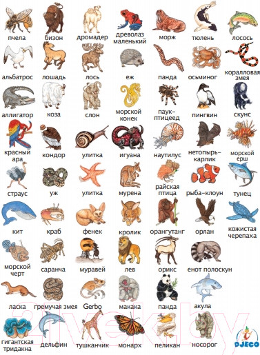 Изображение товара Настольная игра Djeco Занимач / 05153