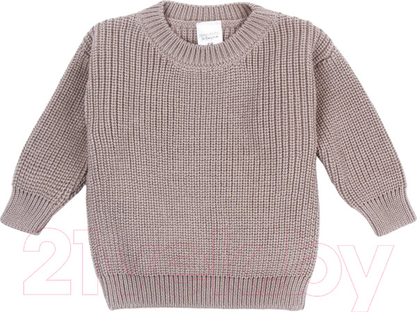 Изображение товара Джемпер для малышей Amarobaby Pure Love Buddy / AB-OD23-PLB26/12-98 (р.98, коричневый)