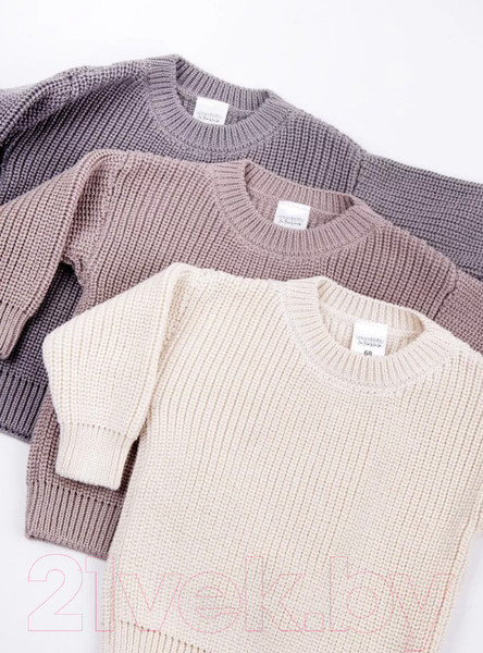 Изображение товара Джемпер для малышей Amarobaby Pure Love Buddy / AB-OD23-PLB26/12-98 (р.98, коричневый)