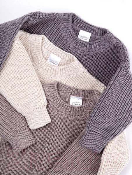 Изображение товара Джемпер для малышей Amarobaby Pure Love Buddy / AB-OD23-PLB26/12-98 (р.98, коричневый)