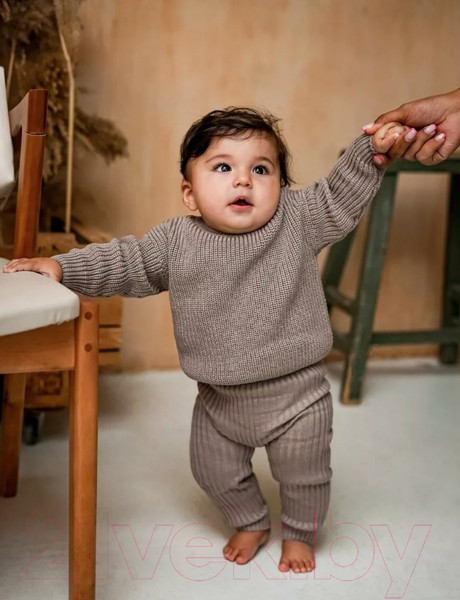 Изображение товара Джемпер для малышей Amarobaby Pure Love Buddy / AB-OD23-PLB26/12-98 (р.98, коричневый)