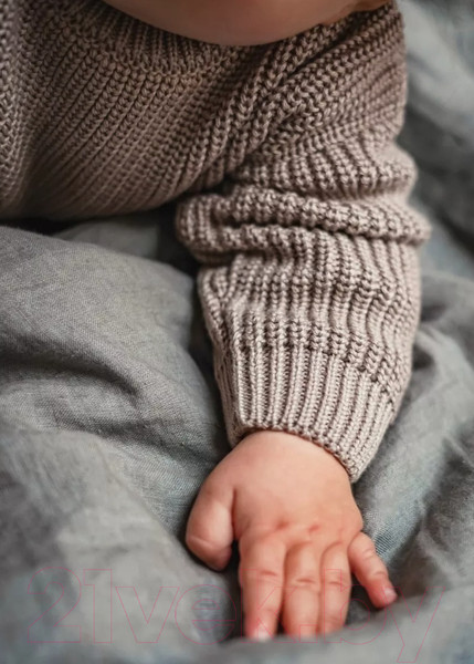 Изображение товара Джемпер для малышей Amarobaby Pure Love Buddy / AB-OD23-PLB26/12-98 (р.98, коричневый)