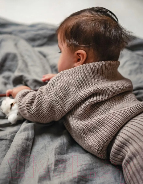 Изображение товара Джемпер для малышей Amarobaby Pure Love Buddy / AB-OD23-PLB26/12-98 (р.98, коричневый)