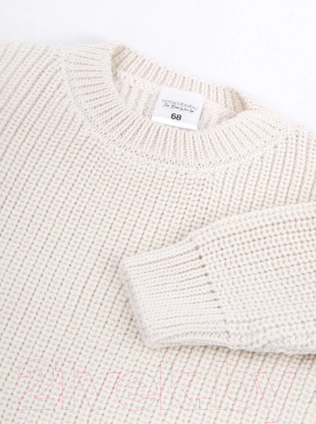 Изображение товара Джемпер для малышей Amarobaby Pure Love Buddy / AB-OD23-PLB26/33-92 (молочный, р.92)