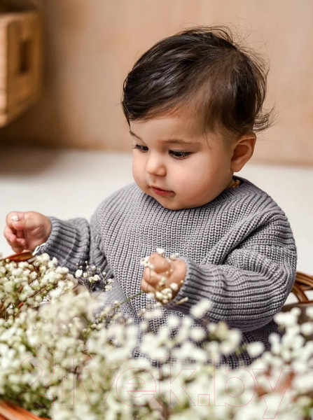 Изображение товара Джемпер для малышей Amarobaby Pure Love Buddy / AB-OD23-PLB26/11-98 (серый, р.98)