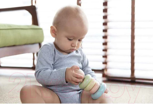 Изображение товара Развивающий игровой набор Plan Toys Пирамидка Кольца / 5380