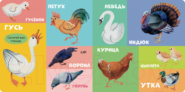 Изображение товара Развивающая книга CLEVER Книжки-картонки. 100 животных / 9785002114726