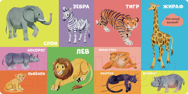 Изображение товара Развивающая книга CLEVER Книжки-картонки. 100 животных / 9785002114726