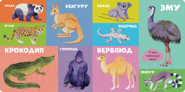 Изображение товара Развивающая книга CLEVER Книжки-картонки. 100 животных / 9785002114726