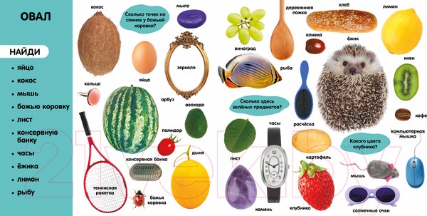 Изображение товара Развивающая книга CLEVER Первые знания. Фотокнига. Формы / 9785002114962