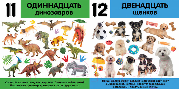 Изображение товара Развивающая книга CLEVER Первые знания. Фотокниги. Цифры / 9785002114986