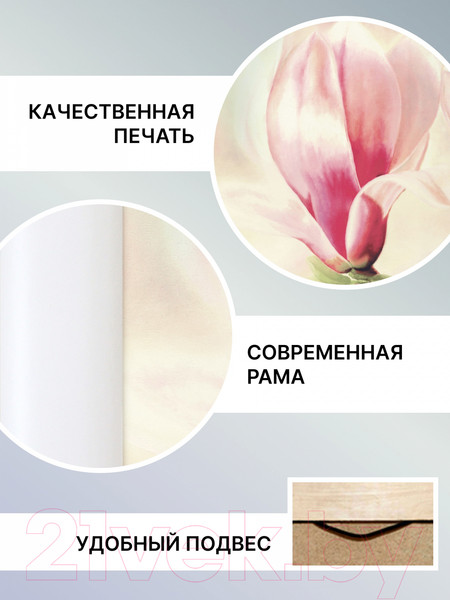 Изображение товара Картина Декарт Яблоневый цвет 8Л1590 (в раме)